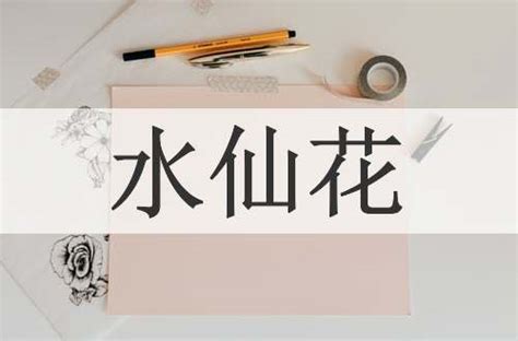 水仙不開花|詞語:水仙不開花 (注音:ㄕㄨㄟˇ ㄒㄧㄢ ㄅㄨˋ ㄎㄞ ㄏㄨㄚ) 